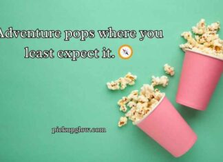 Popcorn Puns Popcorn Puns