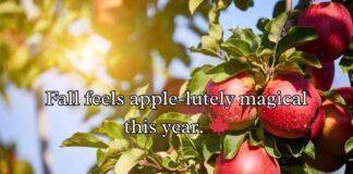 Apple Puns Apple Puns