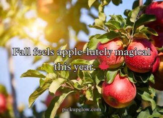 Apple Puns Apple Puns