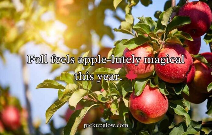 Apple Puns