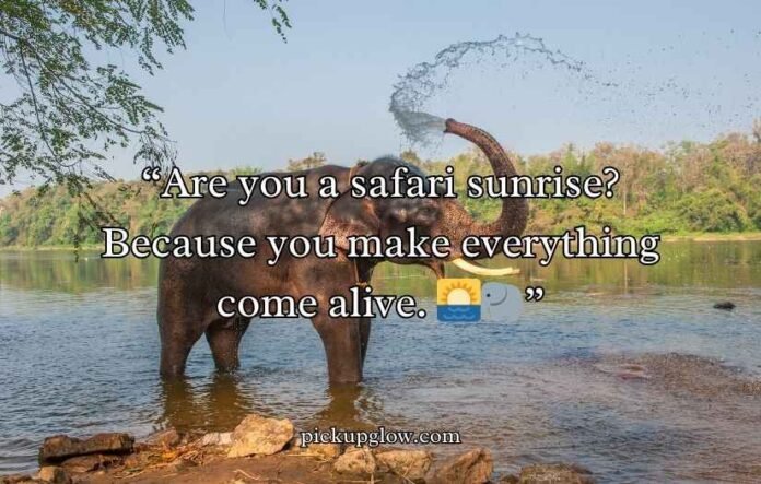 Best Elephant Pick Up Lines And Rizz