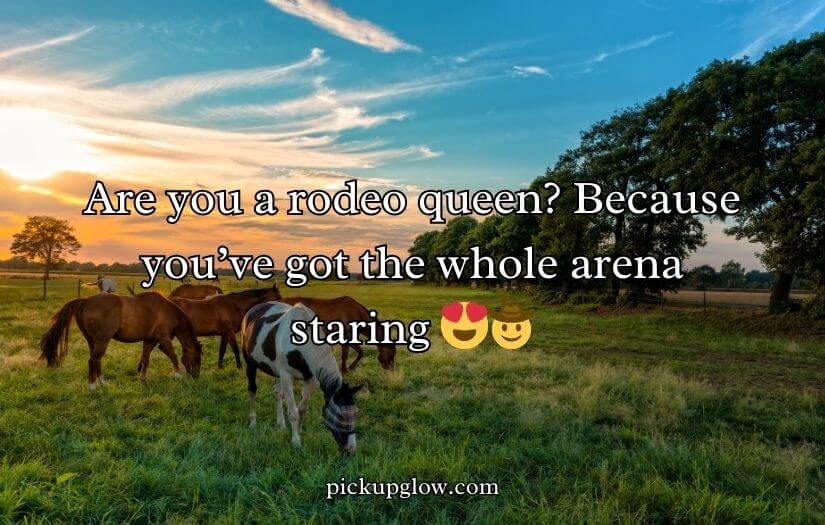 Horse Pick Up Lines