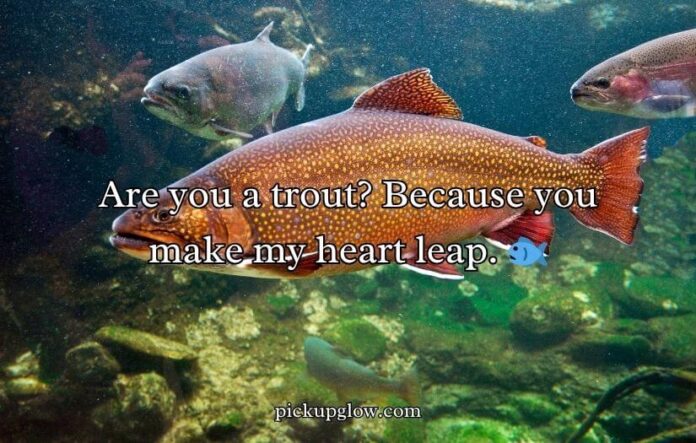 Fishing Pick Up Lines