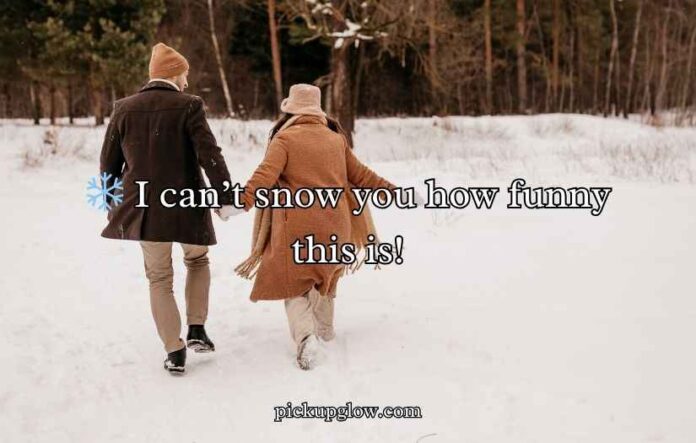 Snow Puns