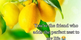 Lemon Puns Lemon Puns