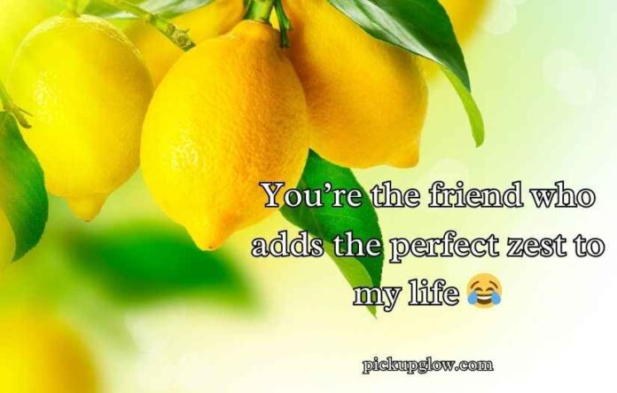 Lemon Puns