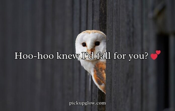 Owl Pick Up Lines