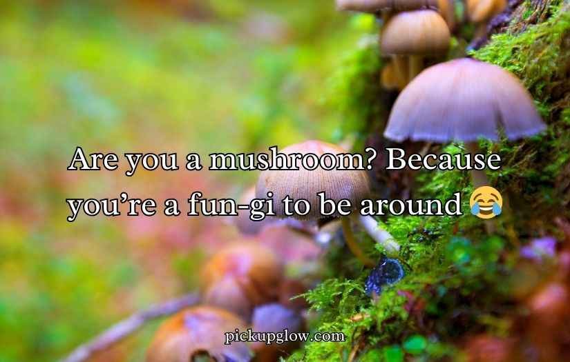 Mushroom Pick-Up Lines