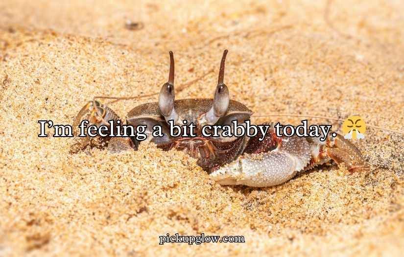 Crab Puns and Jokes