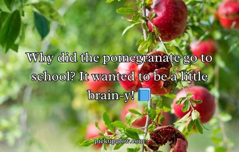Juicy Pomegranate Puns