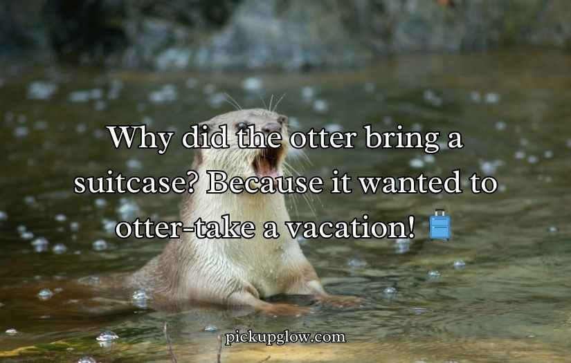 Otter Puns and Jokes