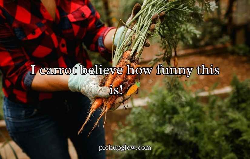 Carrot Puns