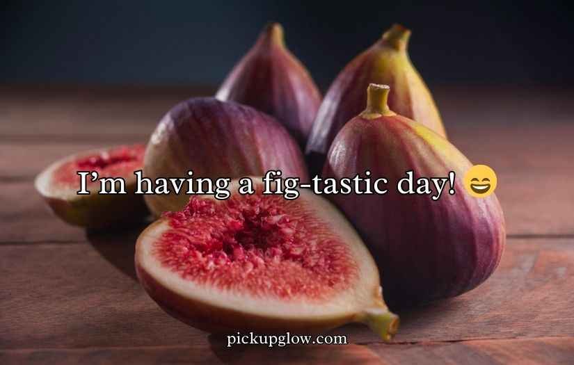 Fig Puns and Jokes