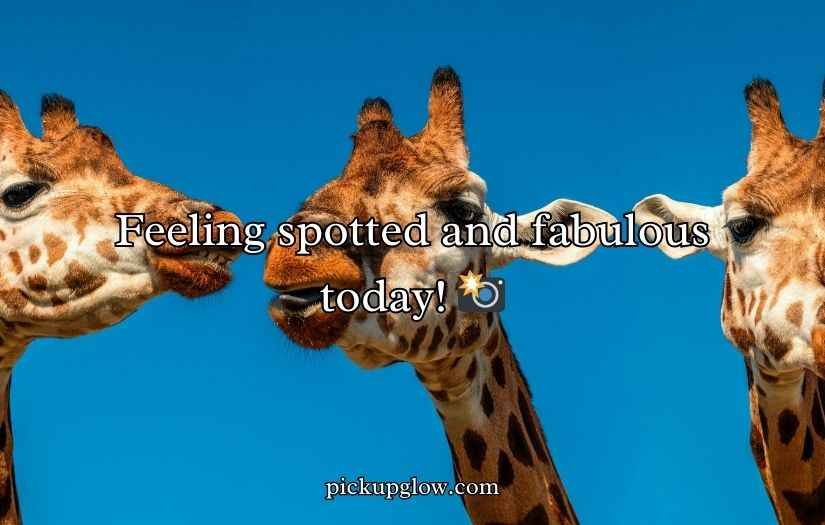 Giraffe Puns
