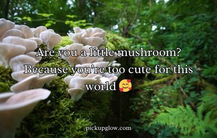 Mushroom Pick-Up Lines