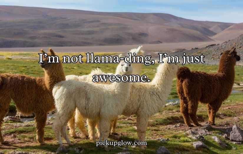 Llama Puns and Jokes