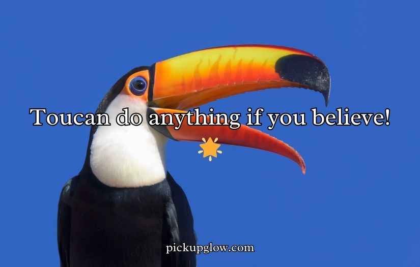 Toucan Puns and Jokes