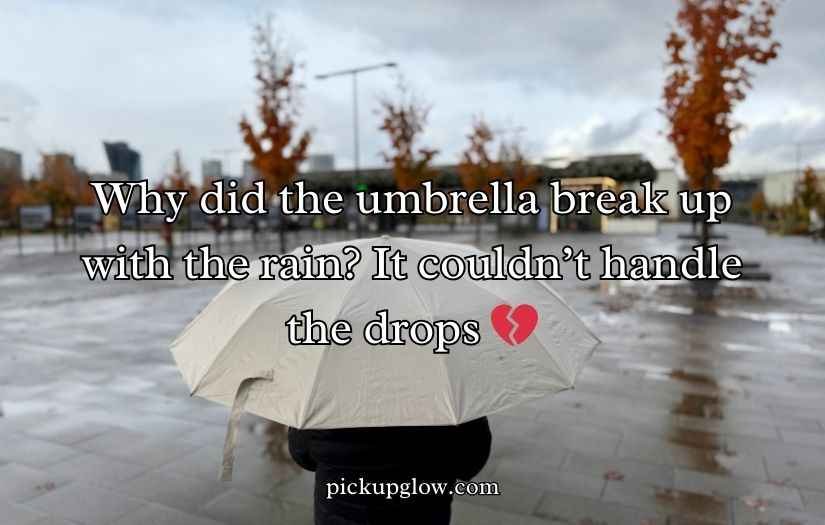 Umbrella Puns and Jokes