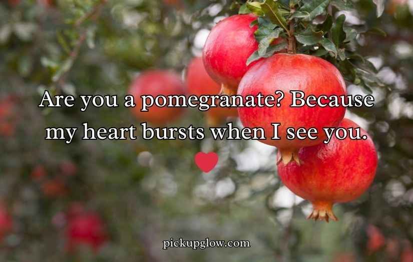 Juicy Pomegranate Puns