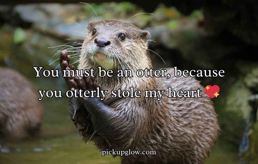 Otter Puns and Jokes