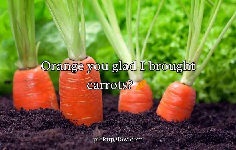 Carrot Puns