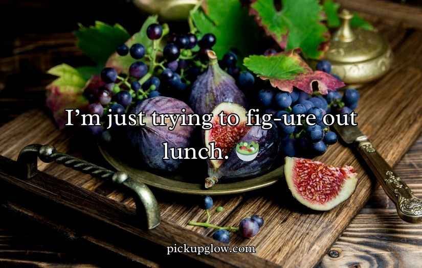 Fig Puns and Jokes
