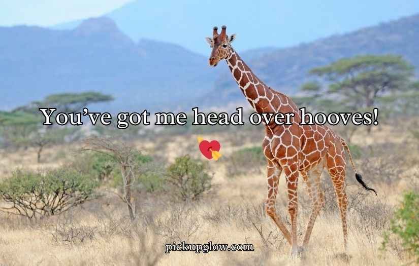 Giraffe Puns