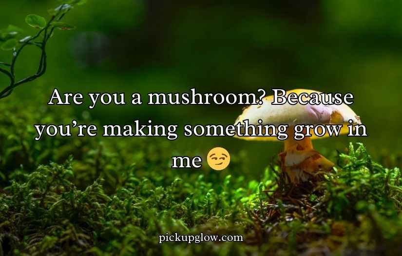 Mushroom Pick-Up Lines