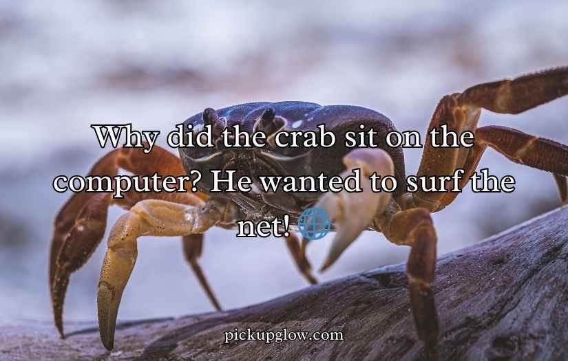 Crab Puns and Jokes