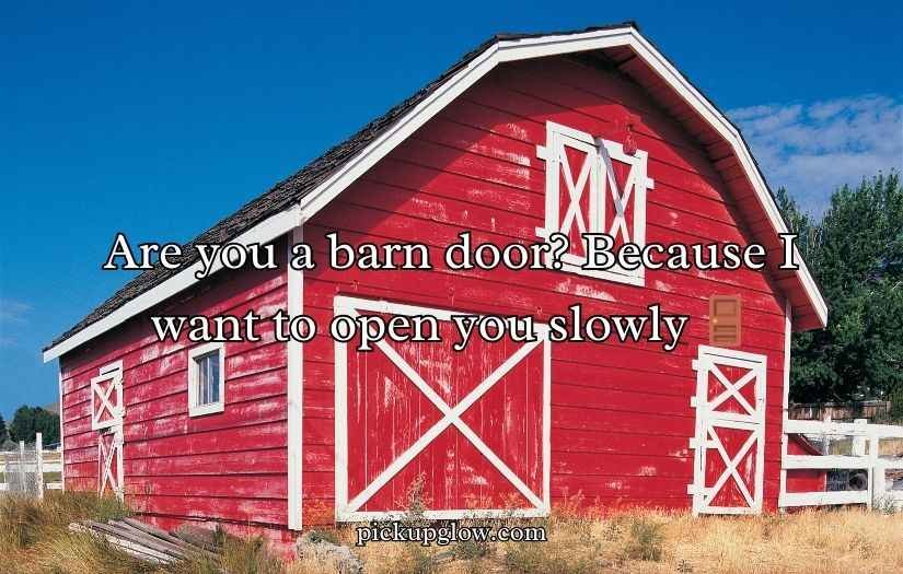 Farm Pick Up Lines