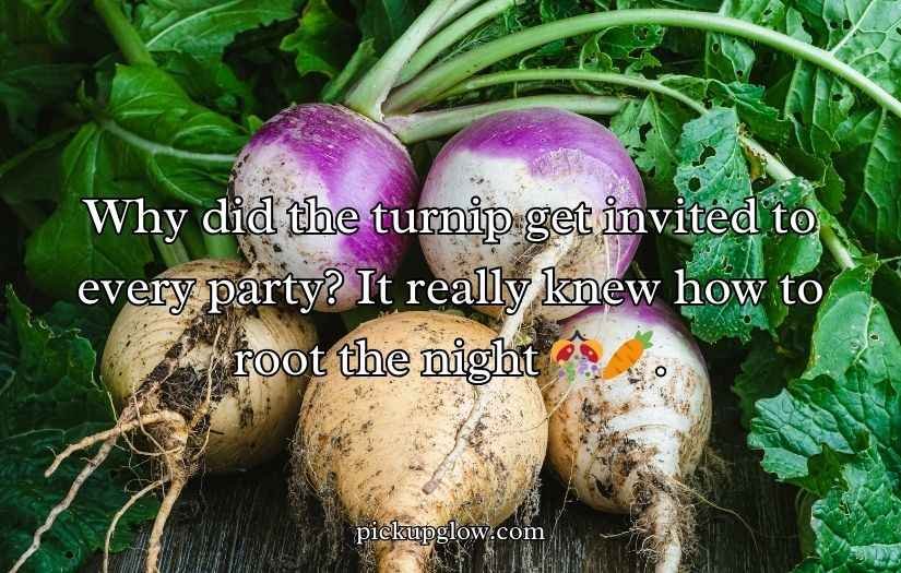 Turnip Puns and Jokes