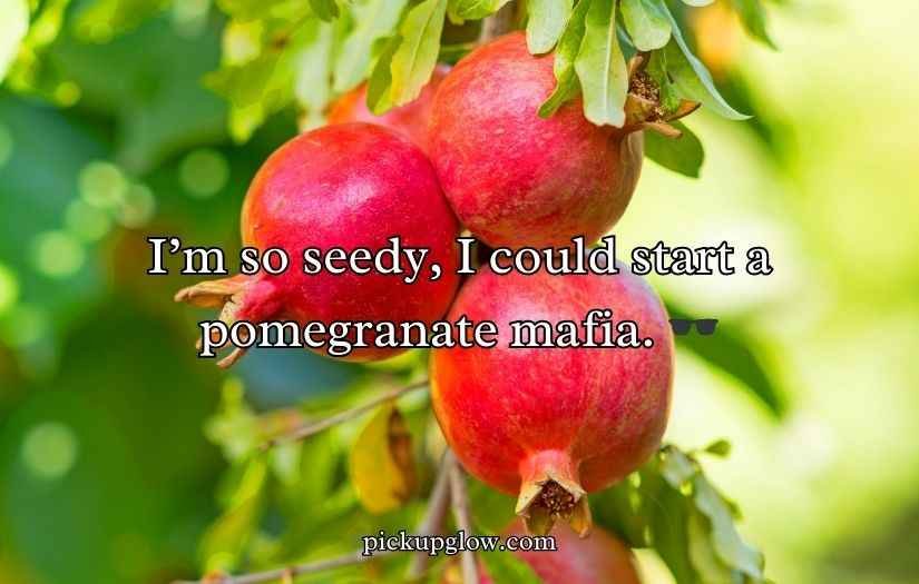 Juicy Pomegranate Puns