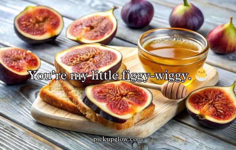 Fig Puns and Jokes