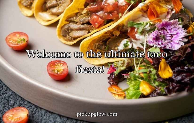Funny Taco Puns