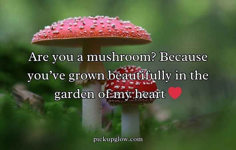 Mushroom Pick-Up Lines