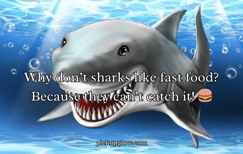 Shark Puns and Jokes