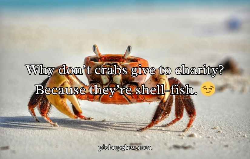 Crab Puns and Jokes
