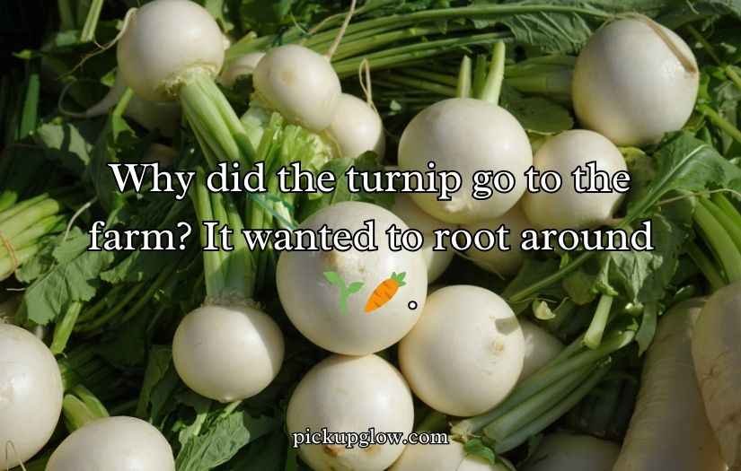 Turnip Puns and Jokes