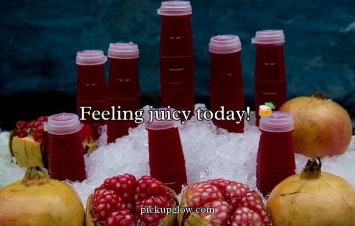 Juicy Pomegranate Puns