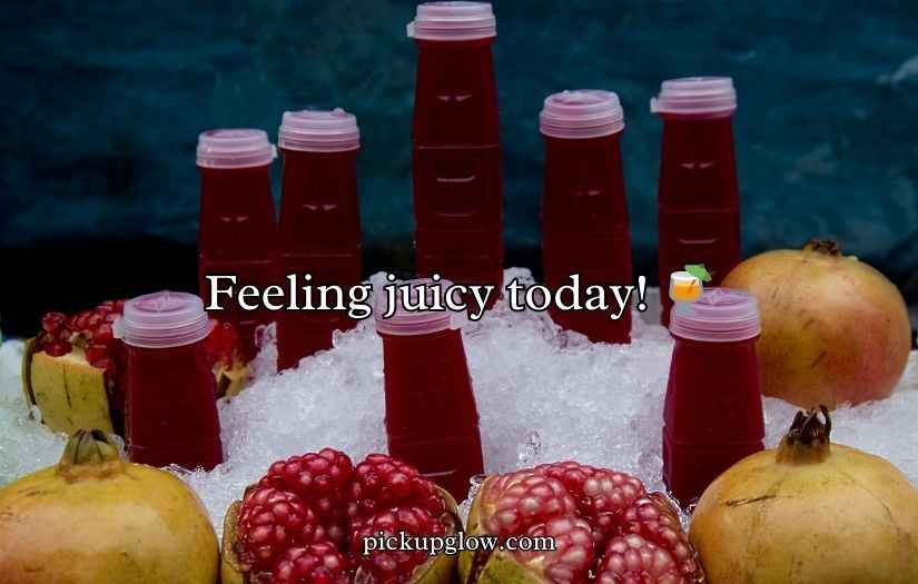 Juicy Pomegranate Puns