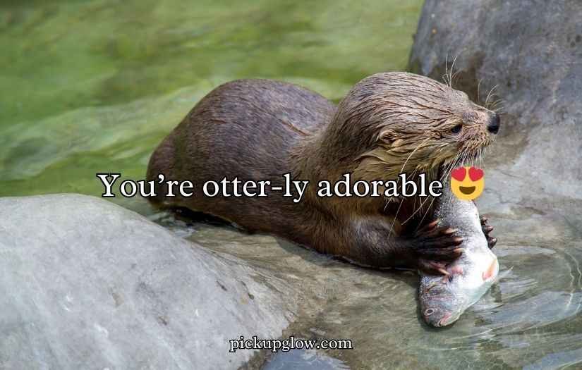 Otter Puns and Jokes