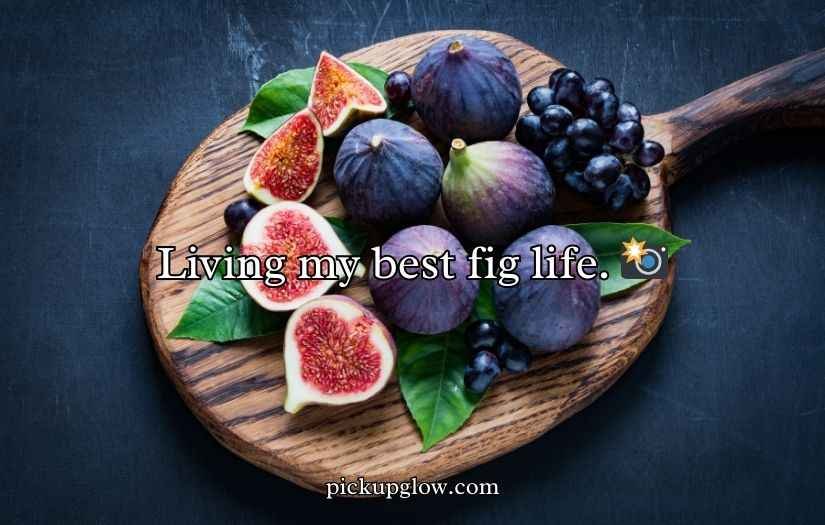 Fig Puns and Jokes