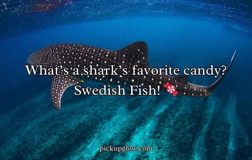 Shark Puns and Jokes