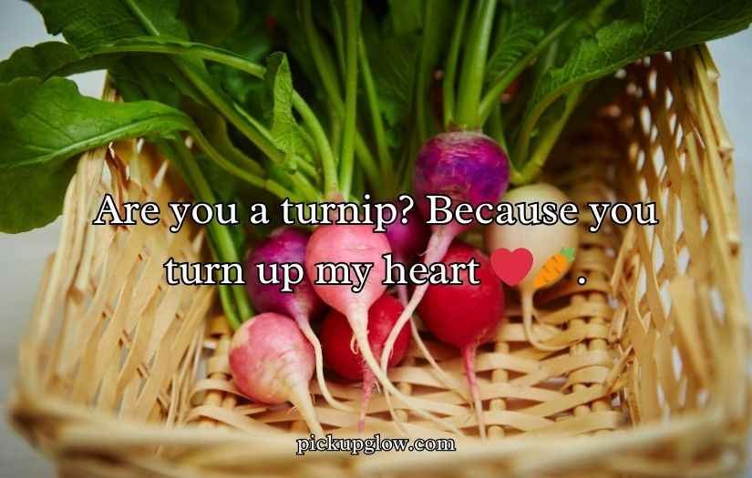 Turnip Puns and Jokes