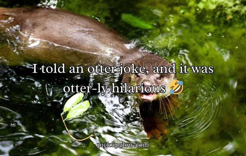 Otter Puns and Jokes