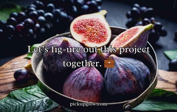 Fig Puns and Jokes