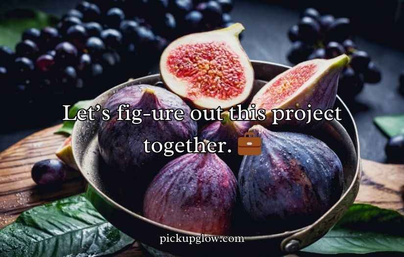 Fig Puns and Jokes