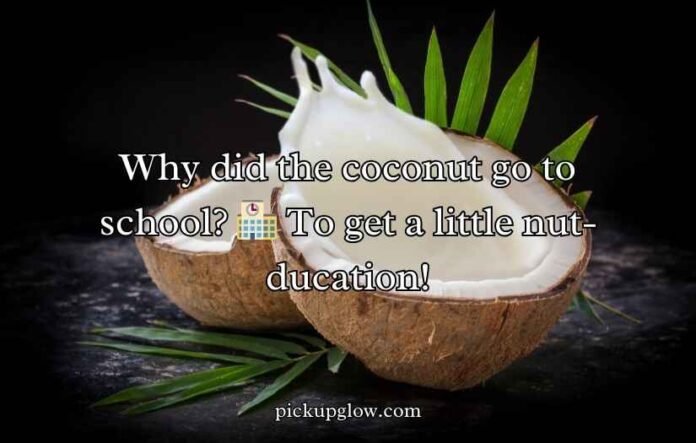 Coconut Puns And Jokes