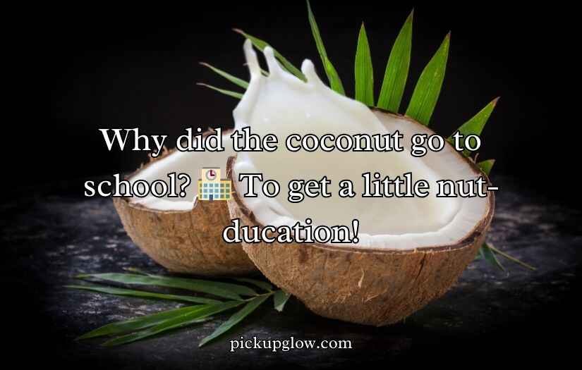 Coconut Puns And Jokes