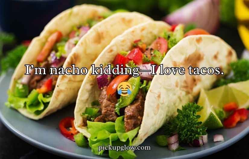 Funny Taco Puns